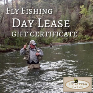 fly fishing gift certificate
